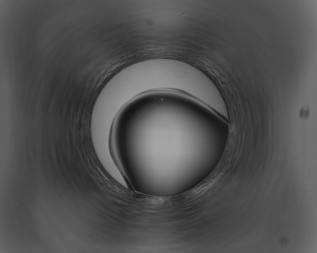 X0000090950096200708241139