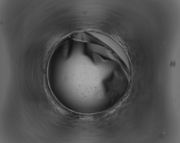 X0000090950097200708241139