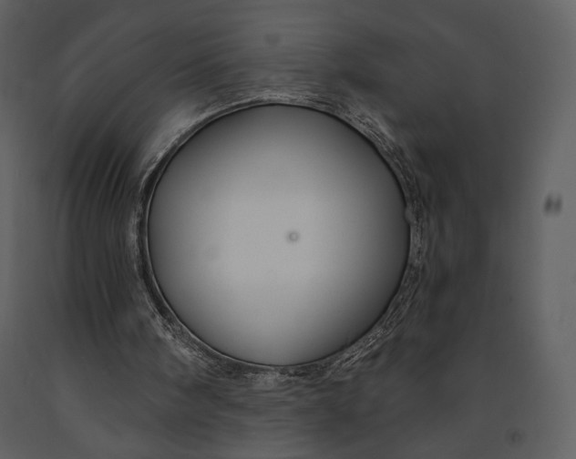 X0000090950098200708241139