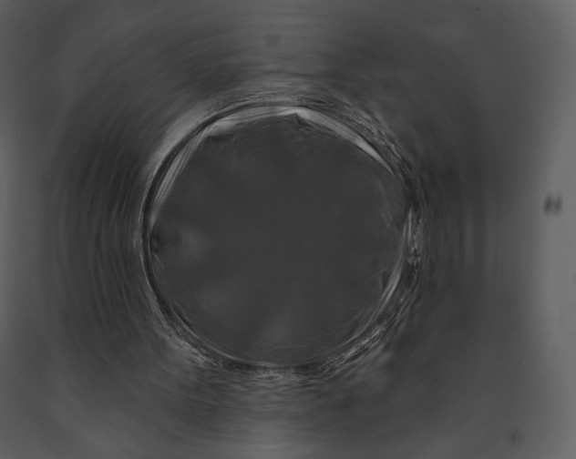 X0000090950099200708241139