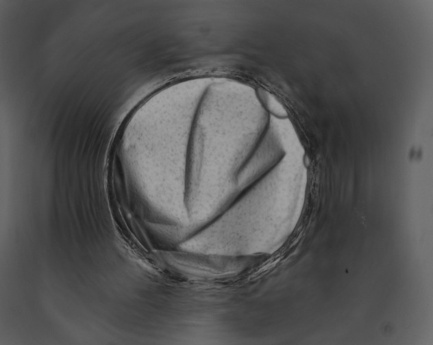 X0000090950100200708241139