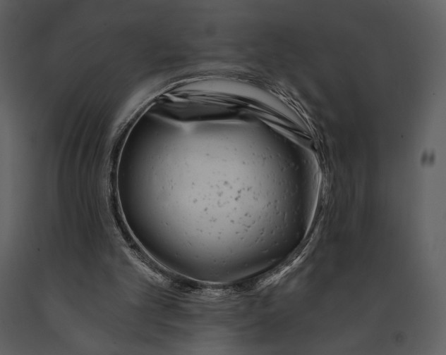X0000090950101200708241139