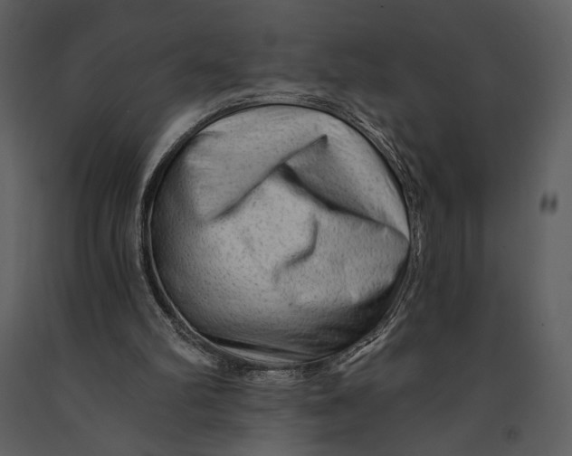 X0000090950102200708241138