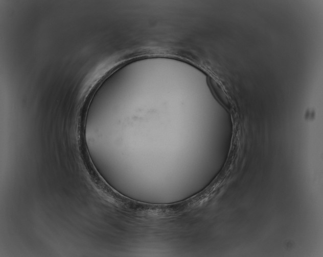 X0000090950103200708241138