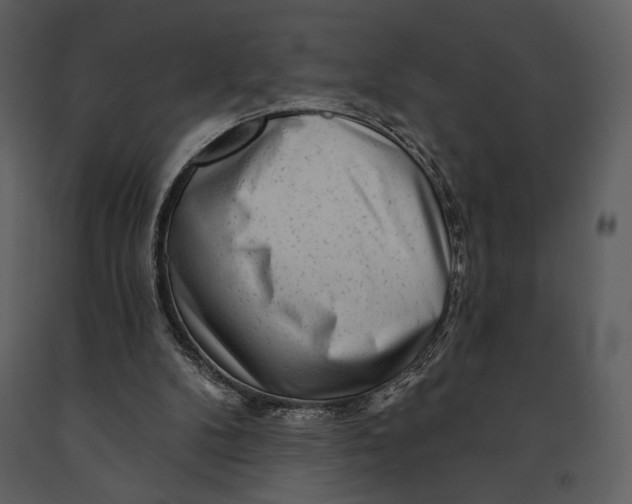 X0000090950104200708241138
