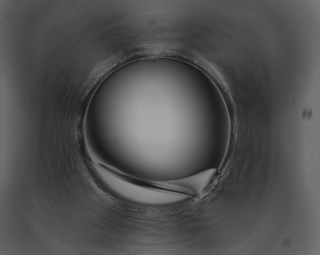 X0000090950105200708241138
