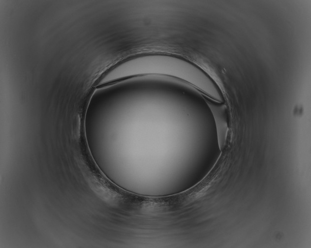 X0000090950109200708241138