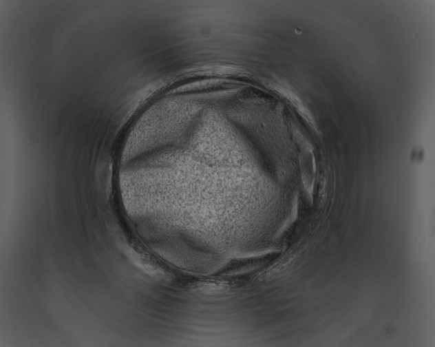 X0000090950110200708241138