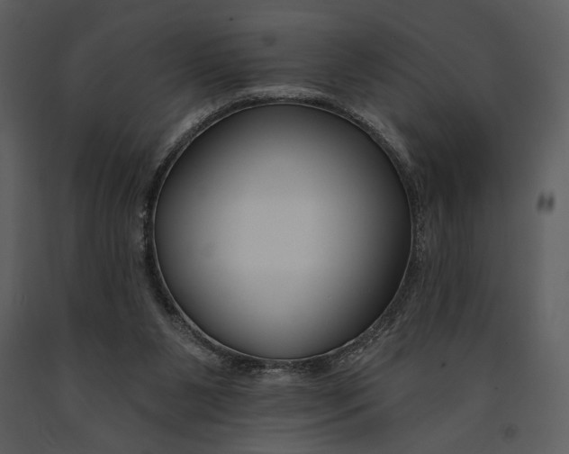 X0000090950111200708241138