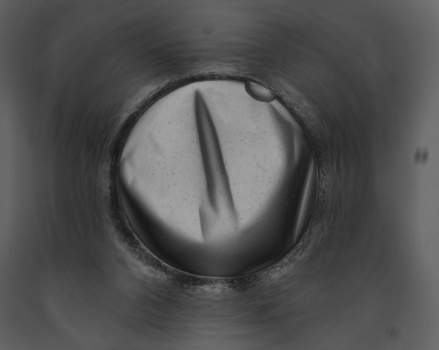 X0000090950112200708241138
