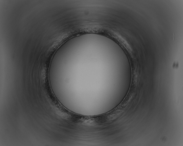 X0000090950113200708241138