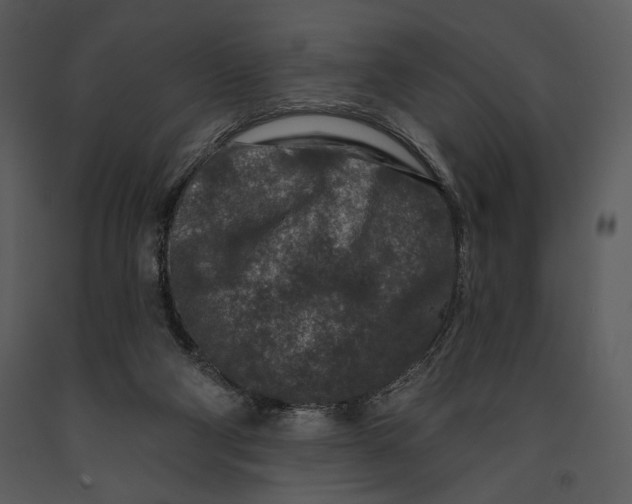 X0000090950114200708241138
