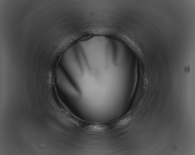 X0000090950117200708241138