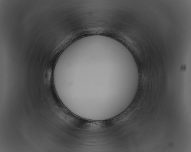 X0000090950118200708241138