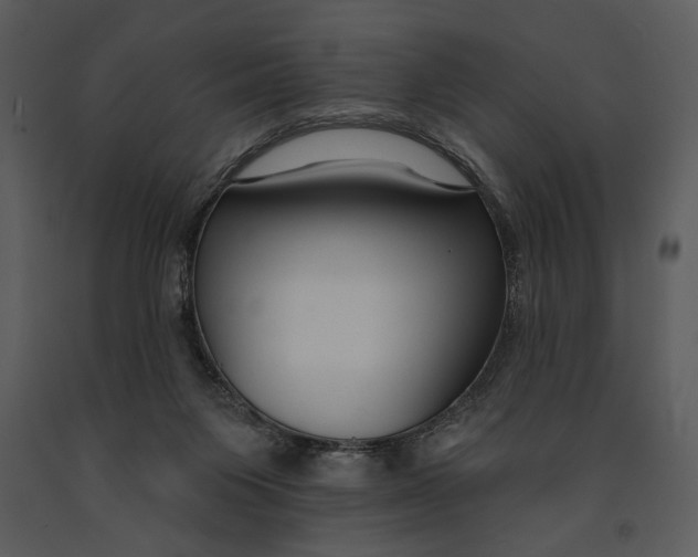 X0000090950119200708241138