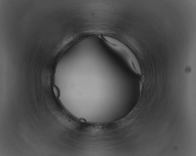 X0000090950120200708241138