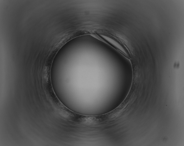 X0000090950121200708241138