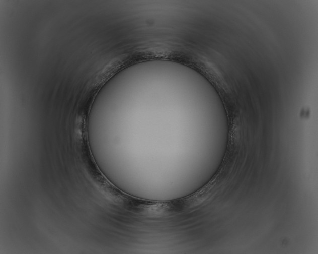 X0000090950122200708241138
