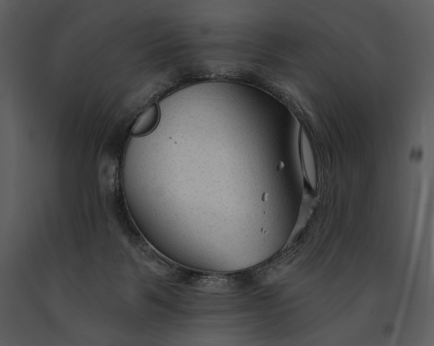 X0000090950123200708241138