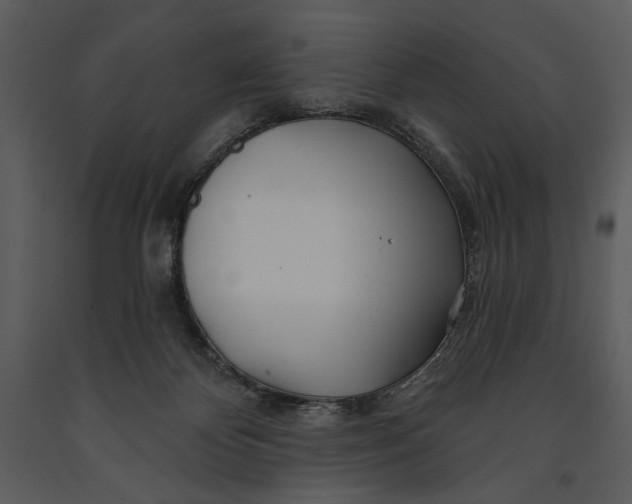 X0000090950124200708241138