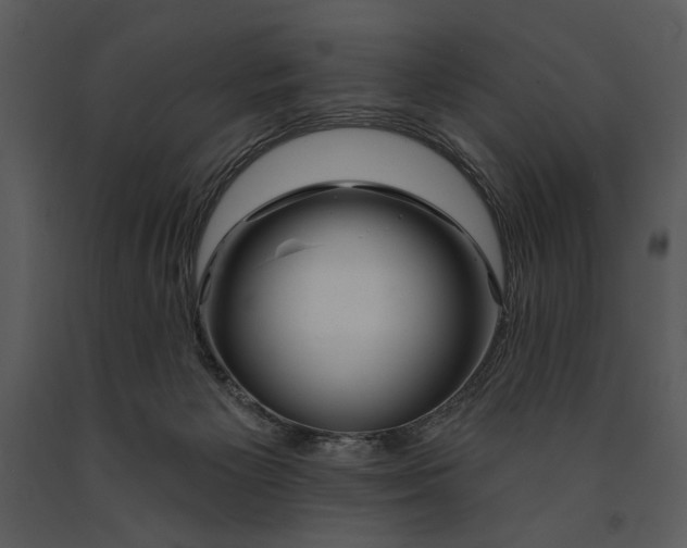 X0000090950125200708241138