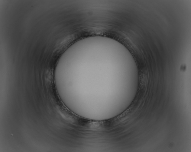 X0000090950126200708241138