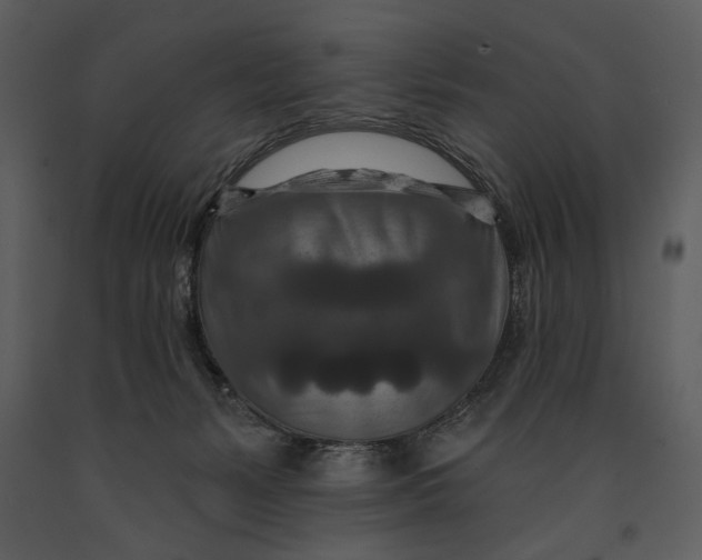 X0000090950127200708241138