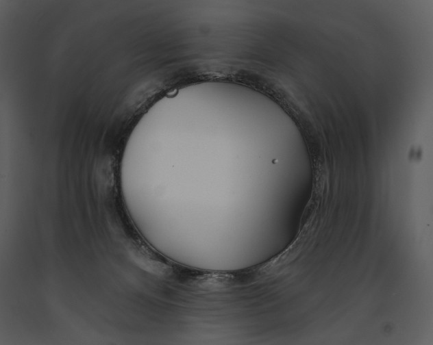 X0000090950128200708241138