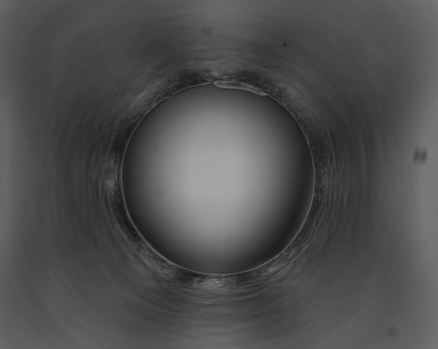 X0000090950129200708241138