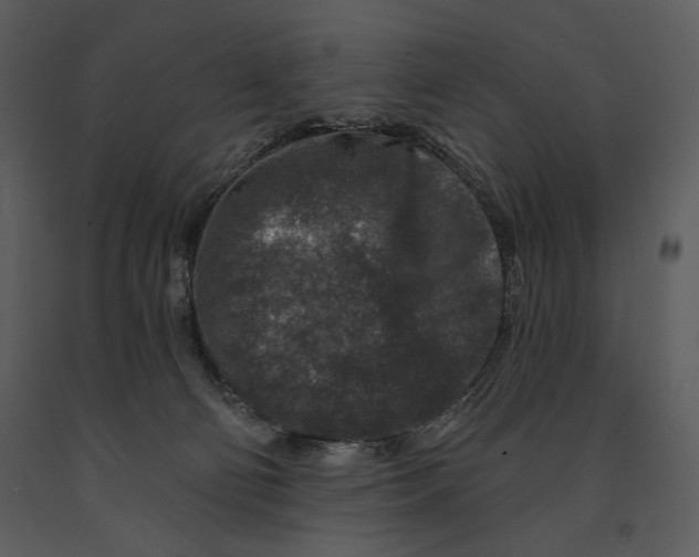 X0000090950130200708241138