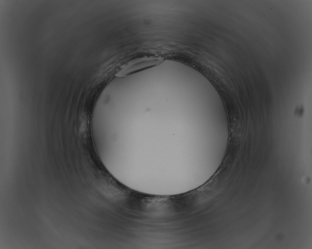 X0000090950132200708241138