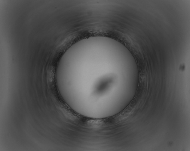 X0000090950133200708241138