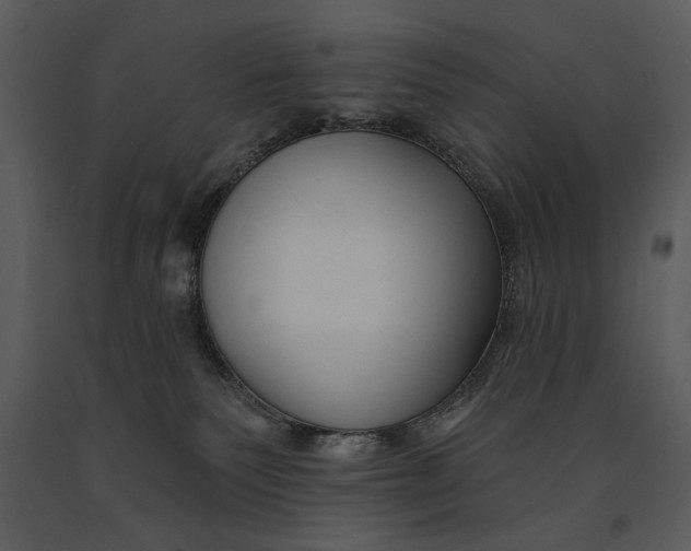 X0000090950135200708241138