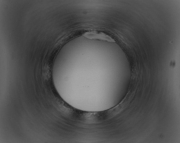 X0000090950136200708241138