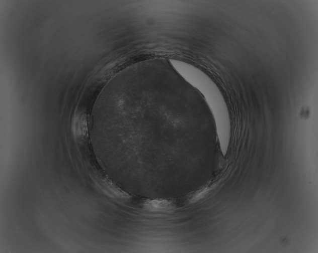 X0000090950137200708241138