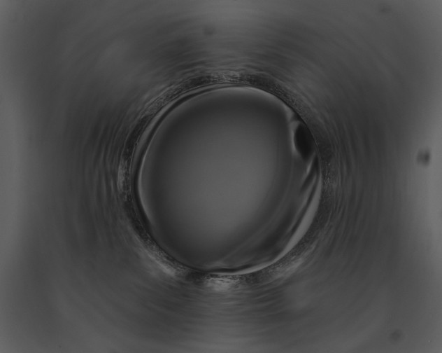 X0000090950139200708241138