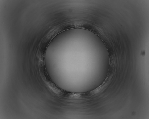 X0000090950140200708241138