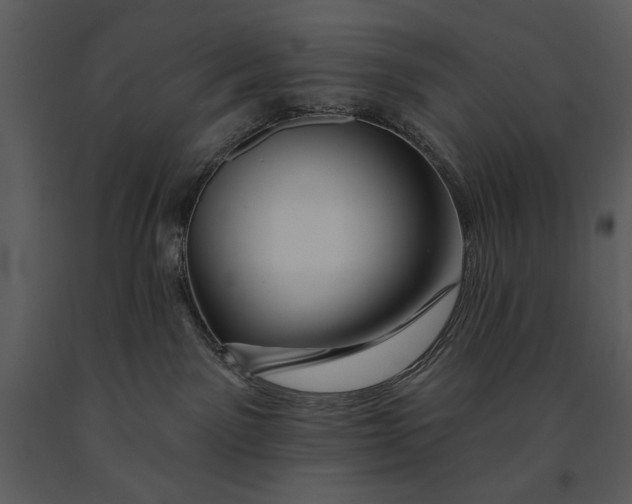 X0000090950141200708241138