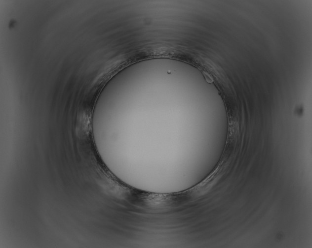 X0000090950142200708241138