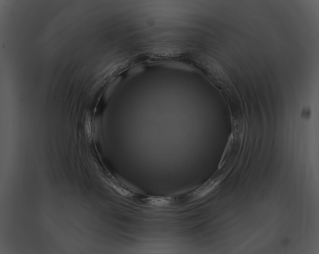 X0000090950143200708241138