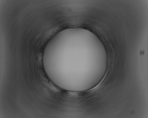 X0000090950144200708241138