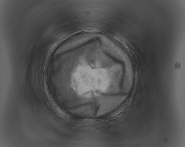 X0000090950145200708241137