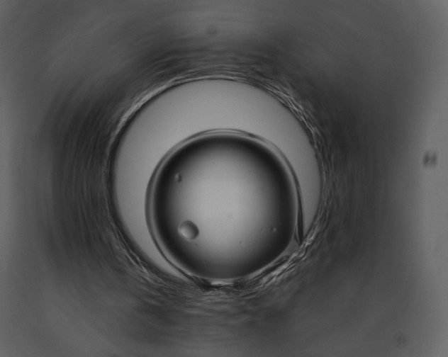 X0000090950146200708241137