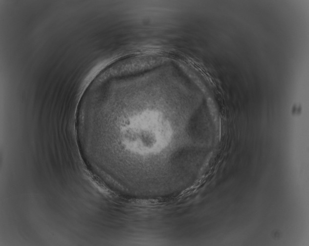 X0000090950147200708241137