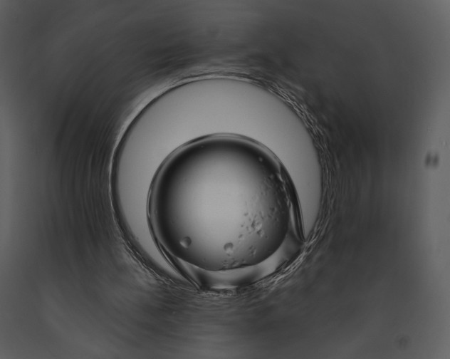 X0000090950148200708241137