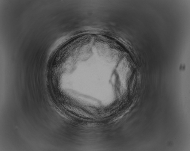 X0000090950149200708241137