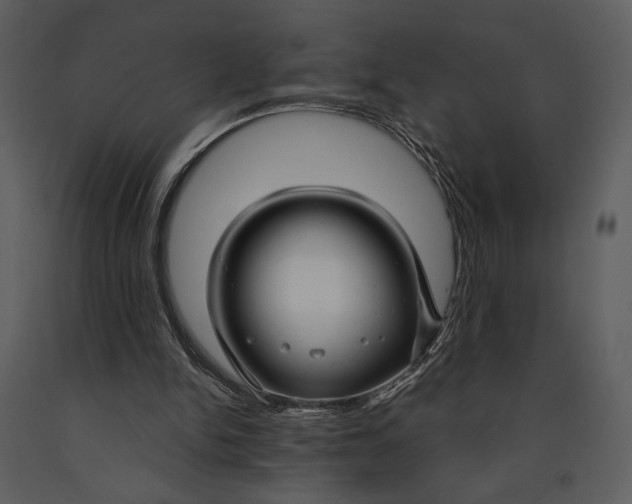 X0000090950150200708241137