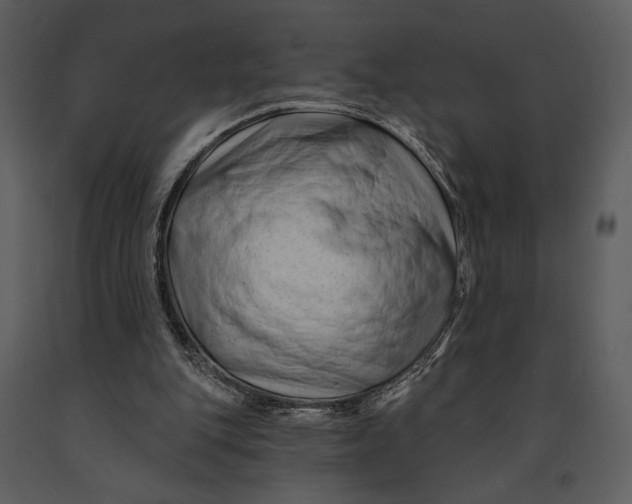 X0000090950151200708241137