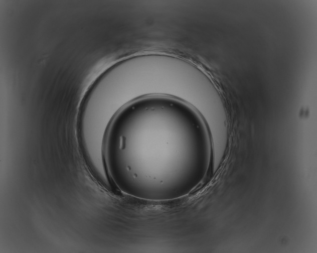 X0000090950152200708241137