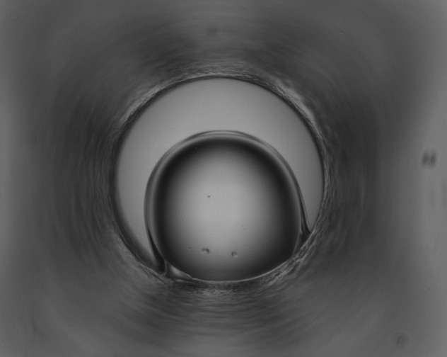 X0000090950154200708241137